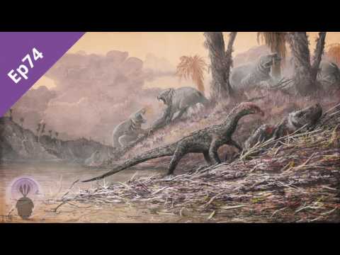 Prof Richard Butler Professor Richard Butler perpetuates several myths on Palaeocast video ...
