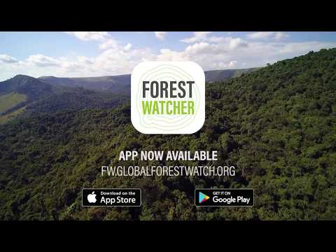 Forest Watcher Video