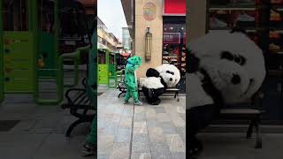 Funny costume teddy bear panda fight short 😁#funny #funnyteddy #panda #shorts