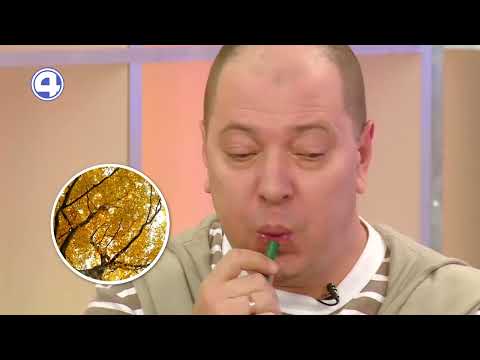 Музыка из колпачка и шарика: ворона Капа и Санёк стали композиторами