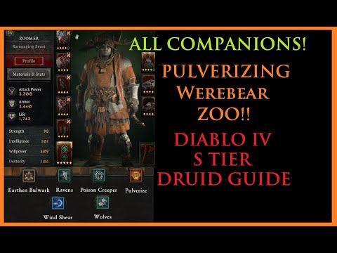 Diablo IV Druid Build Guide! Pulverizing Werebear Zoo! All Companions! Break into End Game!
