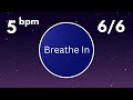 Coherent Breathing Timer - 5 Breaths Per Minute | 6 Seconds in / 6 Seconds Out | With Bells