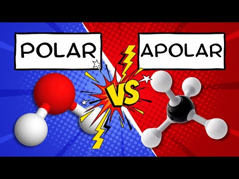How can you tell if a molecule is polar or nonpolar?