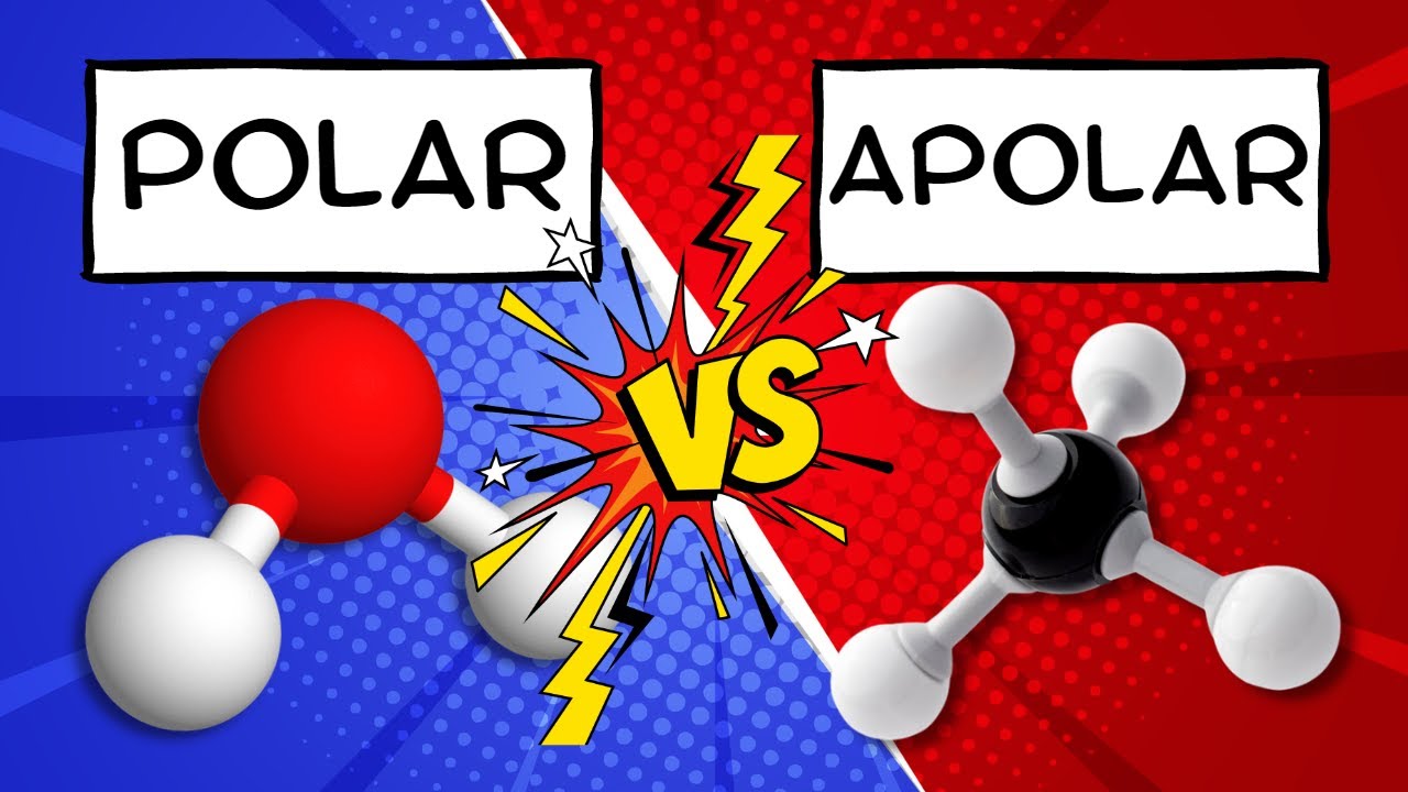 Como identificar se uma molécula é polar ou apolar?