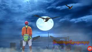 Download lagu Seandainya ku punya sayap #History WA sedih mp3 Download lagu Seandainya ku punya sayap #History WA sedih mp3