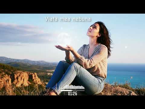 DJ GROSSU _Viata mea nebuna ( Official song )