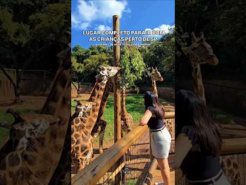 Lugar completo para ir com as crianças, perto de SP, com desconto no mês de maio ficou ainda melhor!