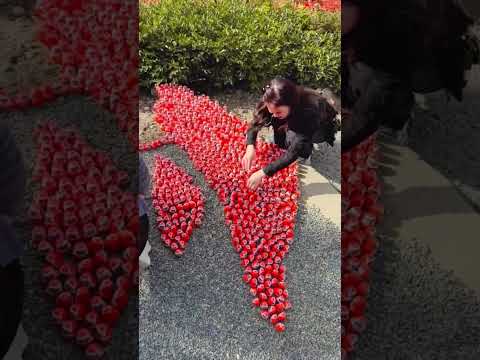 中國女遊客破壞台灣達摩，其行為連自己的丈夫都看不下去了！ #中國 #台灣