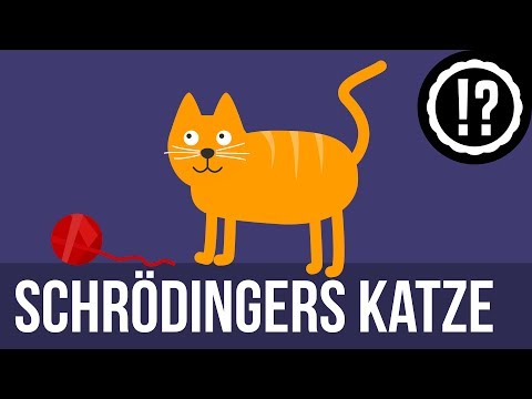 Schrödingers Katze einfach erklärt
