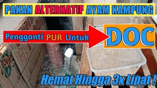 Download lagu PAKAN MURAH AYAM KAMPUNG | PAKAN ALTERNATIF BISA UNTUK DOC - PENGGANTI PUR📌 mp3