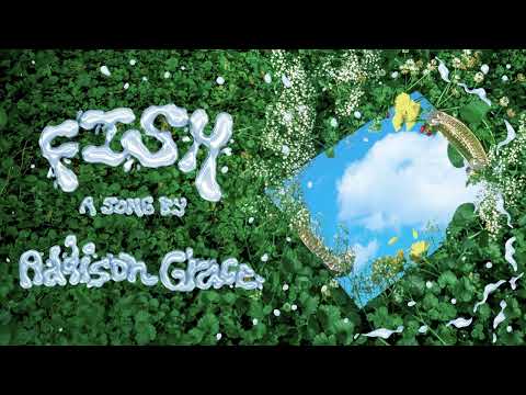 Addison Grace - FISH (Official Audio)