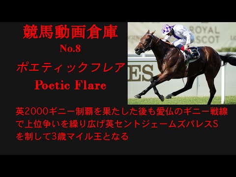 【競馬】ポエティックフレア　Poetic Flare【No8】