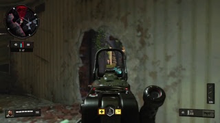 CoD BO4　新たな時代がいま！！！チーデス回すよ！