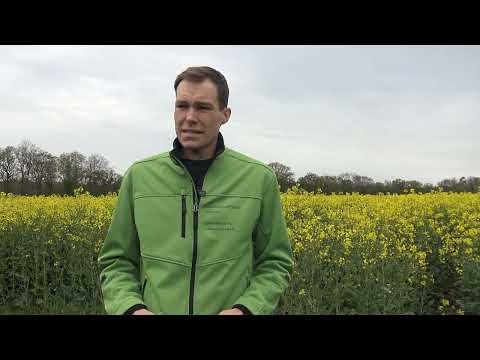 Pflanzenbau Aktuell - Aktuelle Situation in Raps und Wintergetreide