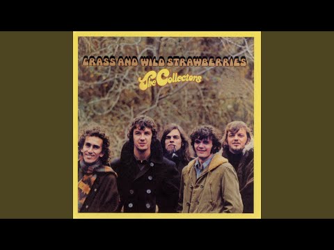My Love Delights Me - The Collectors