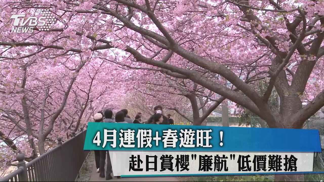 4月連假+春遊旺!赴日賞櫻 廉航低價難搶