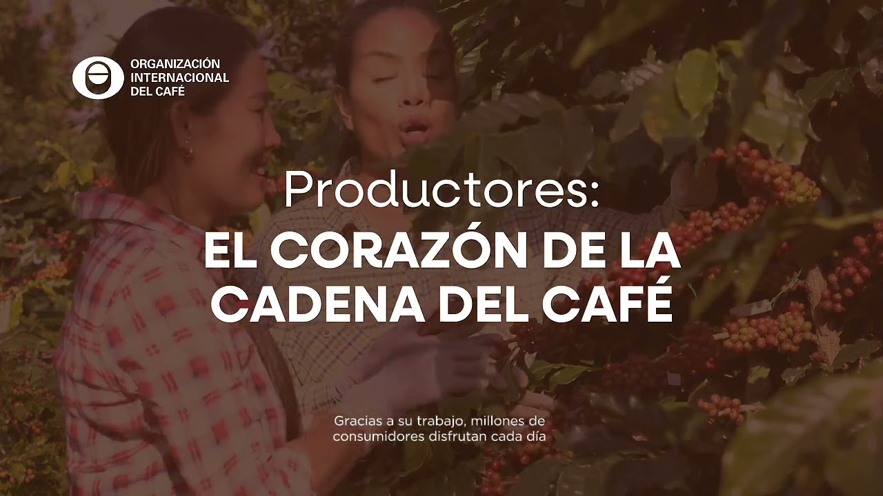 El Café es Parte de la Solución | Construyendo Prosperidad a través de la Colaboración
