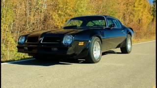 76 Trans Am - Butler 535 Pontiac for sale