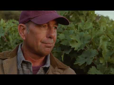 Brand Stories - Humble Beginnings