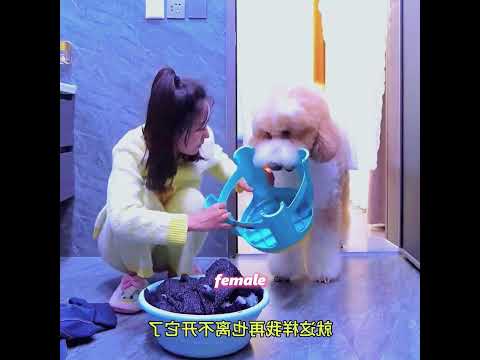 Since another dog came to the house, Molly has been neglected#pets #pet #animals #cuteanimals