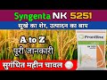 Nk5251 Hybrid Paddy Syngenta Nk5251 Paddy Seed Detail Info Syngenta 5251 Dhan Aromatic Rice
