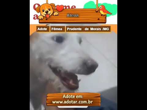 Vídeo de Atena