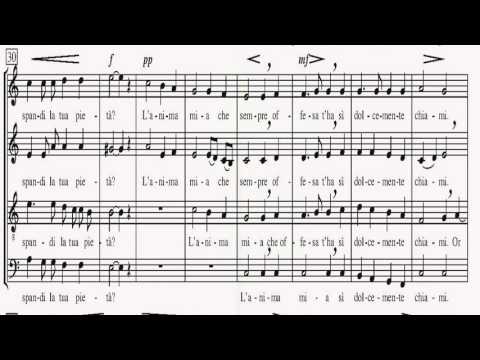 O JESU DOLCE - Bruno Bettinelli