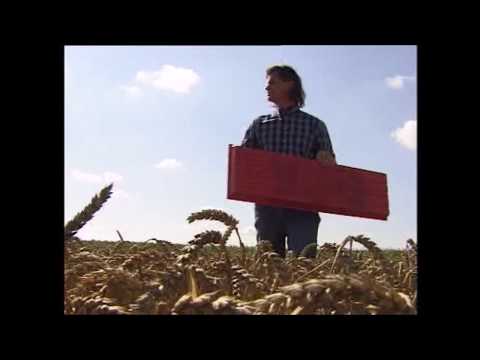 Körnerverluste messen am Mähdrescher mit Verlustprüfschale classic