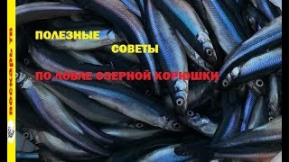 Ссылка