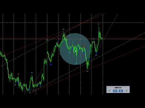 Video Magneto Reverse Signal