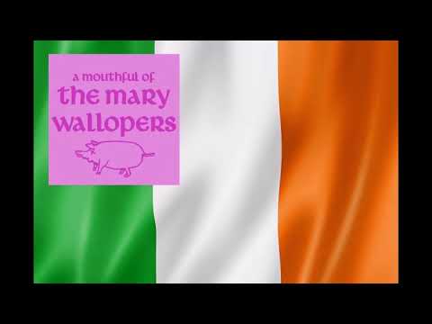 The Mary Wallopers - 'Frost Is All Over'