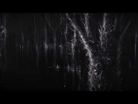 Mc Tes - Bi Chehre (Official Audio)