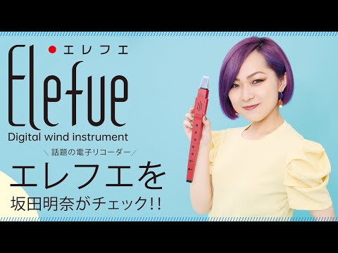 ラデク・ゼレンカについて詳しく解説