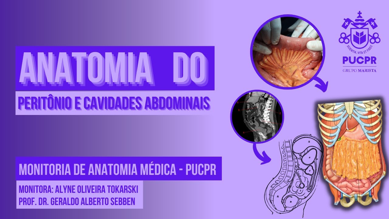Peritônio e Cavidades Abdominais- Monitoria Anatomia Médica II PUCPR