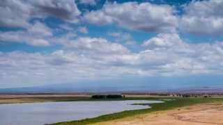 preview picture of video 'Amboseli, Kenya 20.10.2014'