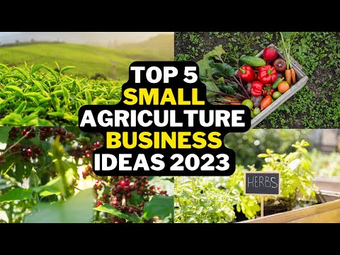 , title : '🥦 5 Small Agriculture Business Ideas In 2023 | Popular Agriculture Business Ideas'