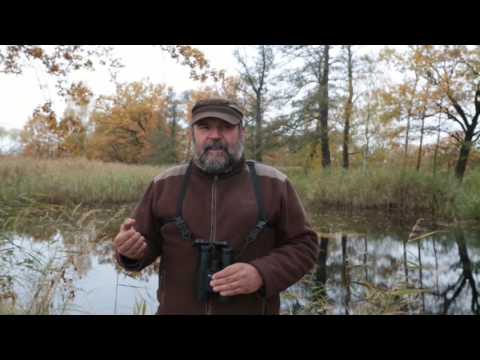 Unterwegs in der Teichlausitz