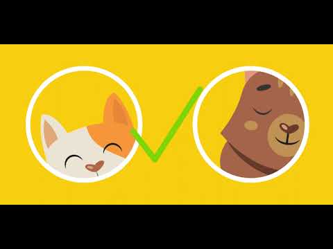 Cat Tail Language, Explained