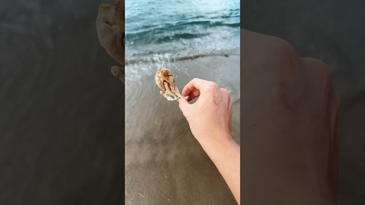 Rescuing Real Life SpongeBob From Drying Up! #shorts