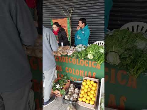 Registro Prod  Agroecol  Bella Vista, Ctes