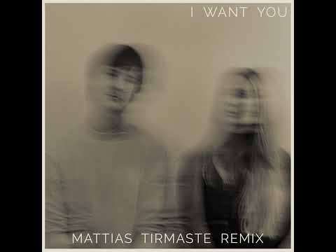Haldi ft. Sibyl Vane - I Want You (Mattias Tirmaste remix)