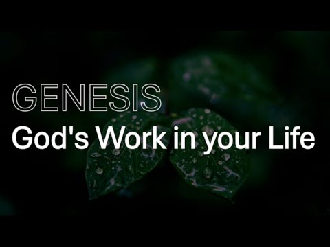 Genesis: God's Work in your Life