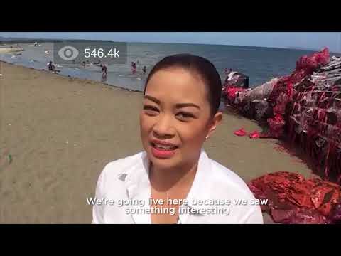 Plastic Whale - Customer Success Story