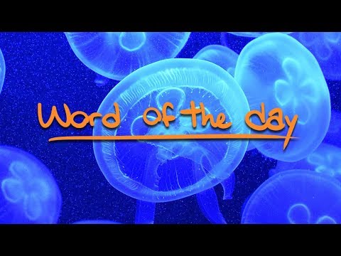 Como Se Diz Água Viva Em Inglês?