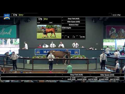 2022 Magic Millions Gold Coast Yearling Sale - Day 1