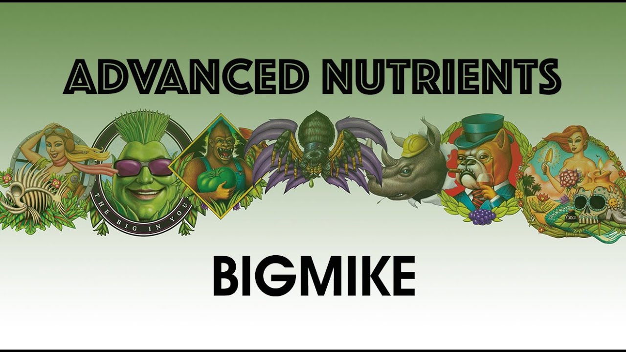 CANNABIS PIONEER | BIGMIKE
