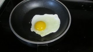 PERFECT EGG (4.12.13 - Day 347)