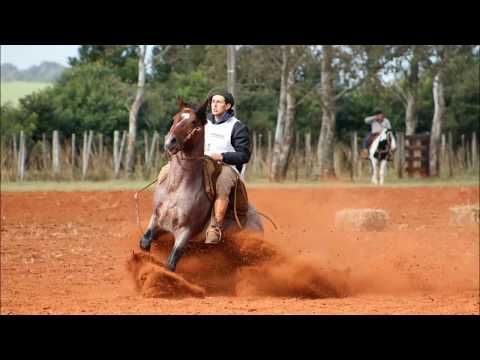 PN Cambiasso Ademir Araujo