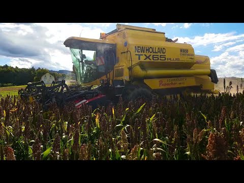 Hirse Ernte 2017 | New Holland Power | Lohndrusch Pupacher | Team Agrar Oberhaag
