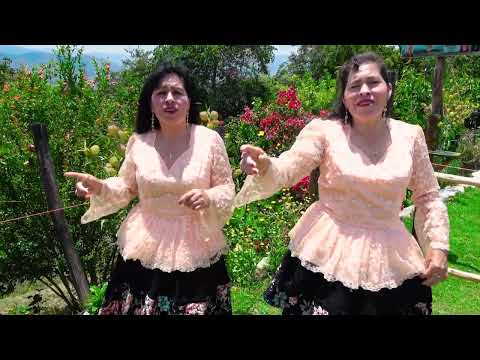 LAS VIRNAGUITAS DE CAJAMARCA (2025) - TU LINDA MIRADA